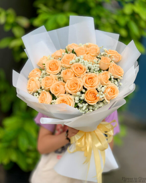 Bó kem vàng giá rẻ-HT53