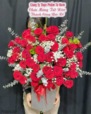 Giỏ hồng đỏ chúc mừng-HT60