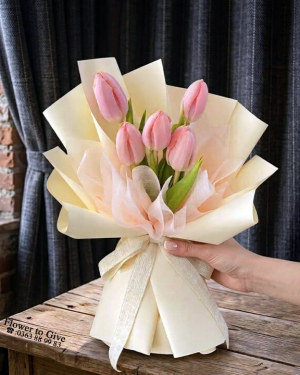Bó hoa tulip dễ thương-HT216