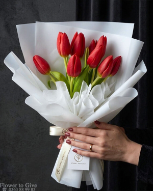 Bó tulip-do-nho-xinh-HT215