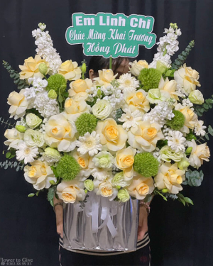 Giỏ chúc mừng nhân dịp hà nội-HT176