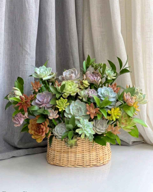 Giỏ sen đá chúc mừng-HT194