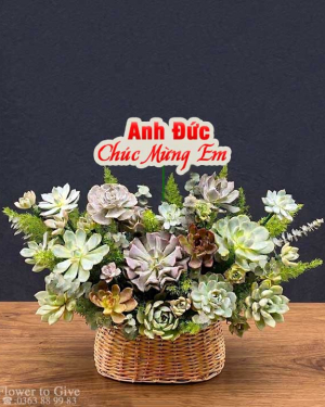 Giỏ sen đá đẹp xinh-HT193