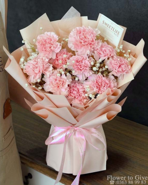 Bó hoa cẩm chướng hồng xinh-HT267