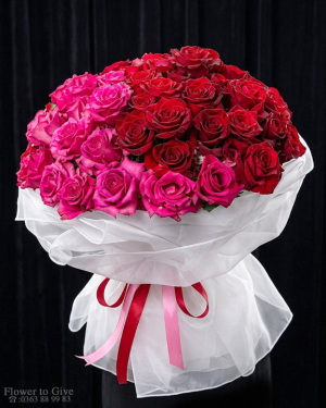 Bó hồng nhập khẩu Pink ploy-hồng Ecuador-HT243