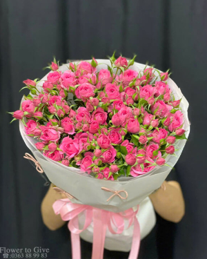 Bó hồng sophia tặng tình yêu-HT259