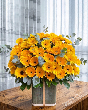 Giỏ hoa đồng tiền chúc mừng-HT224
