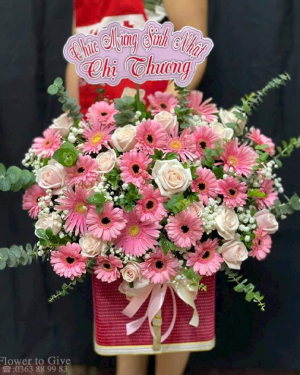 Giỏ hoa đồng tiền hồng-chúc mừng-HT287