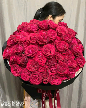 Bó hồng ohara đỏ hiện đại-ilove you-HT320