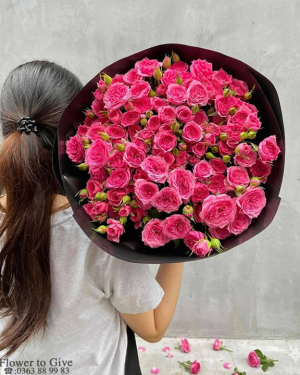 Bó hồng sophia tặng tình yêu-HT299