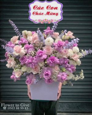 Giỏ hoa đẹp chúc mừng-HT338