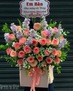 Giỏ hồng xinh xinh chúc mừng-HT339